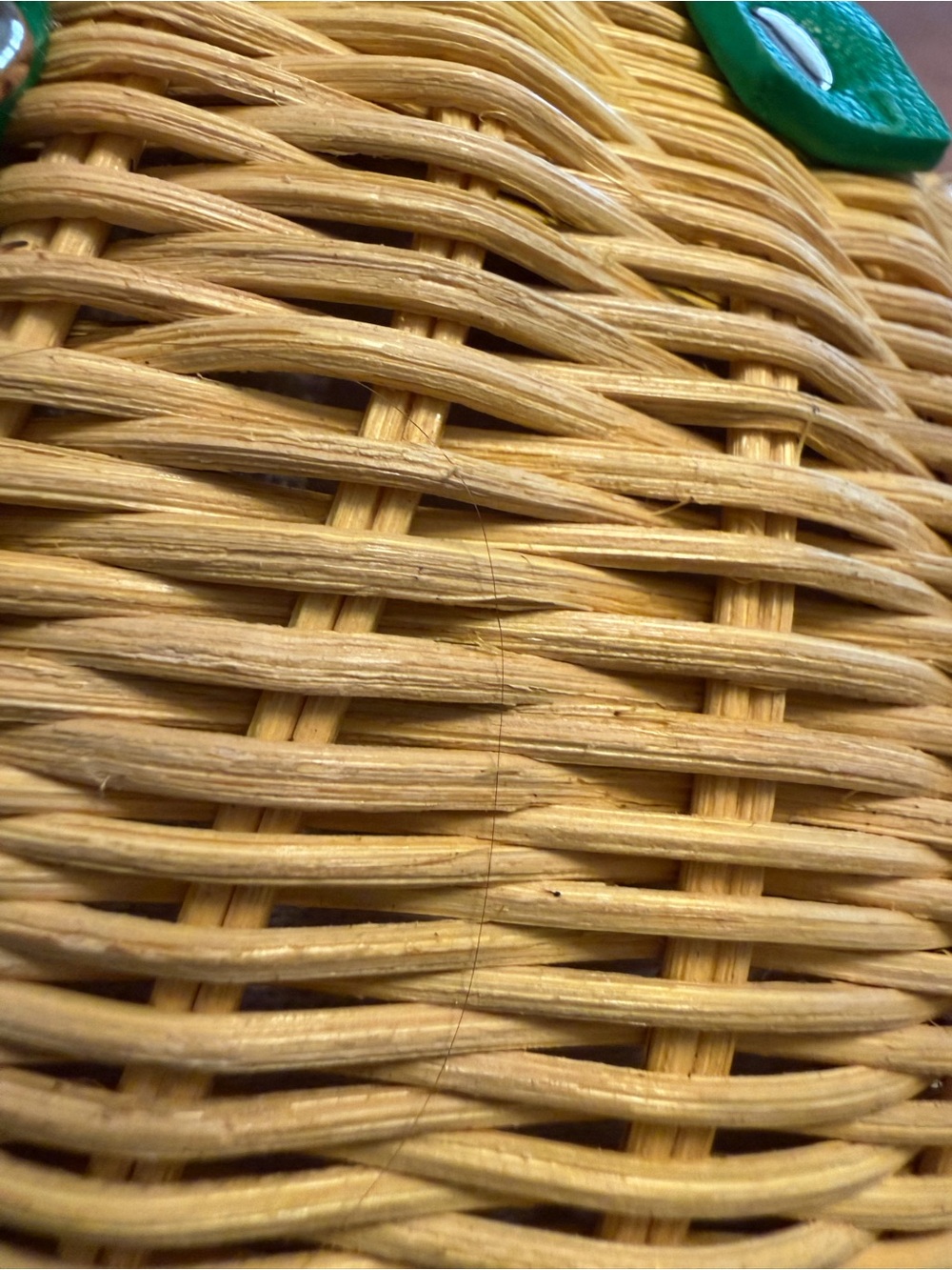 Haute Hippie Yellow Woven Mini Bag with Green Trim - Picture 5 of 11
